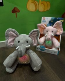 ARUSHA ME MELODI QETESUESE & NDRICIM